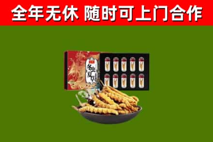 偃师回收冬虫夏草价格