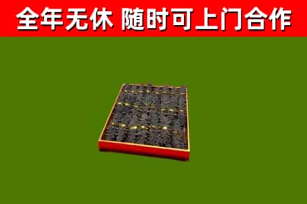 偃师回收海参